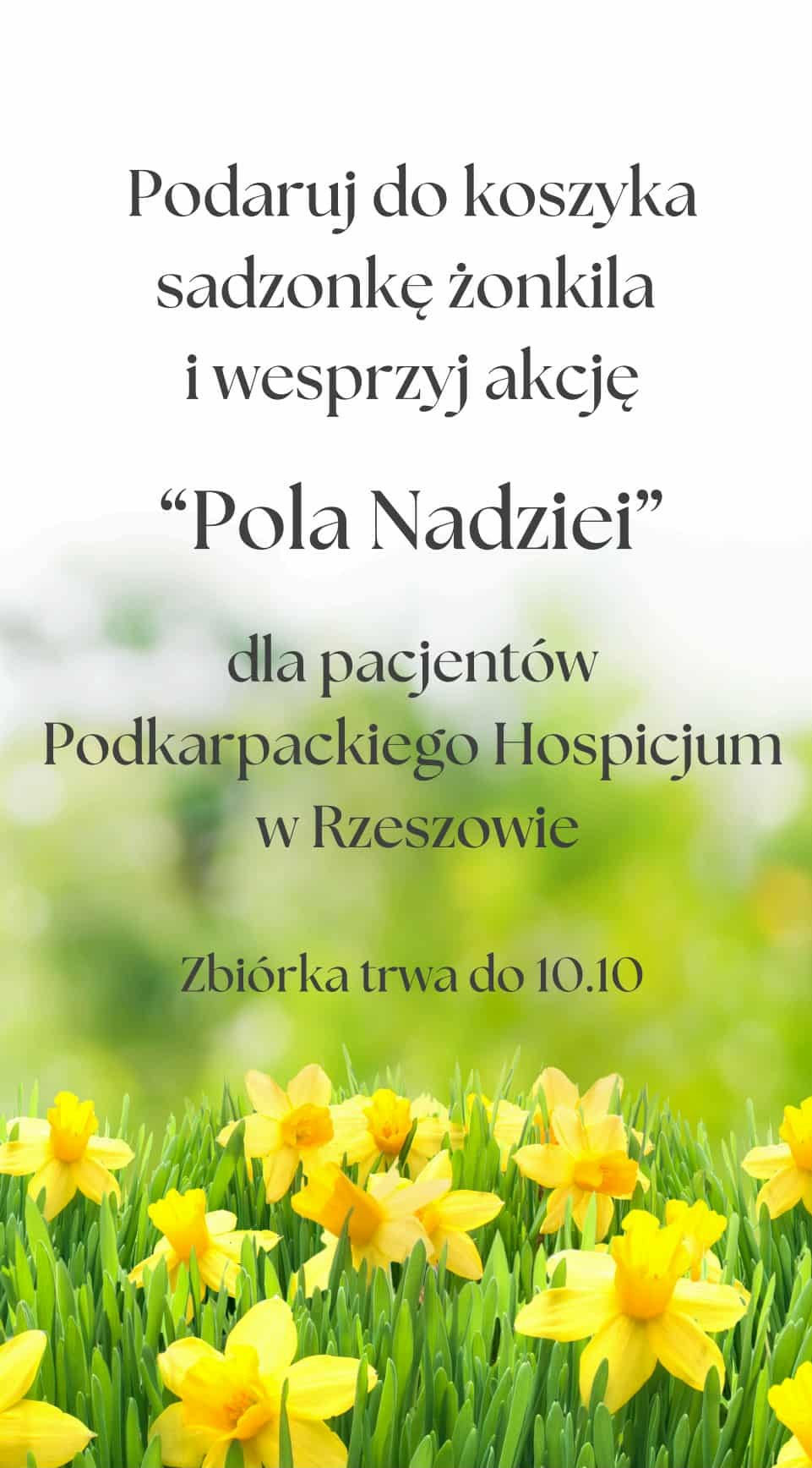 Akcja: „Pola Nadziei”